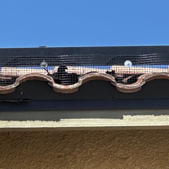 Solar Scrub - Solar Panel Cleaning - Faulty Job installed Jan. 2024 after many attempts to get him to fix. Jonathon will not honor the so called guarantee of workmanship! - Solar Panel Cleaning Near Me - Fresno, California Solar Scrub - Solar Panel Cleaning - Faulty Job installed Jan. 2024 after many attempts to get him to fix. Jonathon will not honor the so called guarantee of workmanship! - Solar Panel Cleaning Near Me - Fresno, California