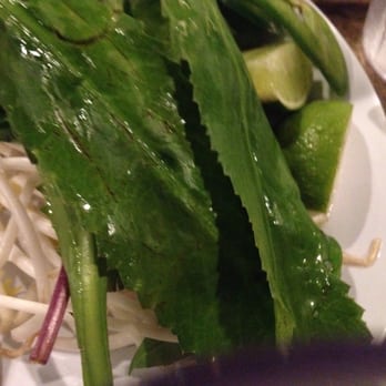 Ao Sen - Herbs for pho - Vietnamese Near Me - Albany, California Ao Sen - Herbs for pho - Vietnamese Near Me - Albany, California
