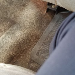 Jack & Sons Family Taxi Service - I don't think this vehicle has ever been cleaned.