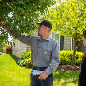 Joshua Tree Experts - Tree Services Near Me - Austin, Texas Joshua Tree Experts - Tree Services Near Me - Austin, Texas