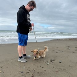 Tail of Success - The first time we've been able to take Franklin in a public space in years. Ray helped build our confidence and skills to get to this point!