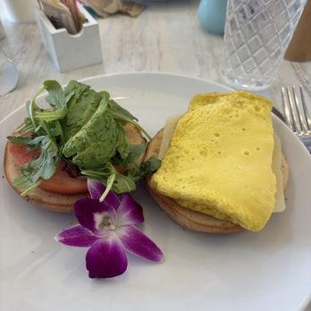Nova Fresh Kitchen - Breakfast & Brunch Near Me - Boca Raton, Florida Nova Fresh Kitchen - Breakfast & Brunch Near Me - Boca Raton, Florida