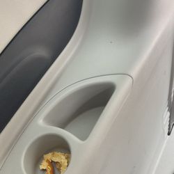 Budget Car Rental - Orange peel and ants