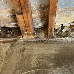 Green Home Solutions Chicago West Suburbs - Wood dry rot. In some cases the wood can be saved using our proprietary organic plant based enzymes.