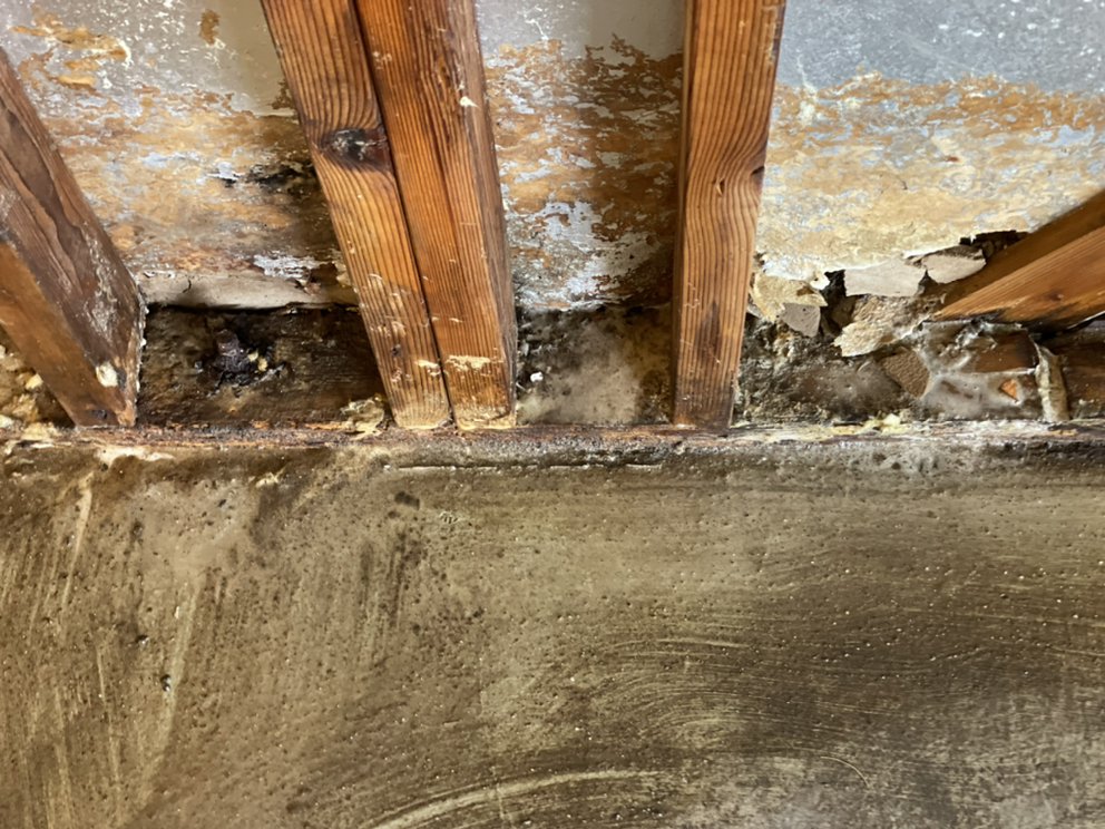 Green Home Solutions Chicago West Suburbs - mold inspector in Addison, IL