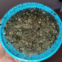 A Mélange of Wellness