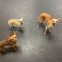 Photo of Dogtopia of Highland Village