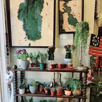 Succulents & More - So much green eye candy I cant stop looking! - Home Decor Near Me - Benicia, California Succulents & More - So much green eye candy I cant stop looking! - Home Decor Near Me - Benicia, California