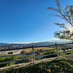 Golden Valley Park - View from the top