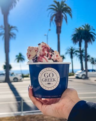 Go Greek Yogurt by null