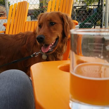 Stoup Brewing - The patio at Stoup is pup friendly and relaxing! - Breweries Near Me - Seattle, Washington