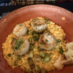 Scallops
