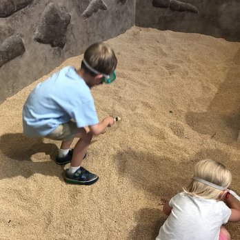 Kenosha Dinosaur Discovery Museum - Museums Near Me - Kenosha, Wisconsin Kenosha Dinosaur Discovery Museum - Museums Near Me - Kenosha, Wisconsin