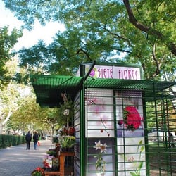 Siete Flores - Quiosco de flores en Zaragoza
