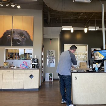 CityVet - Addison - Spacious check-in/waiting area - Veterinarians Near Me - Dallas, Texas