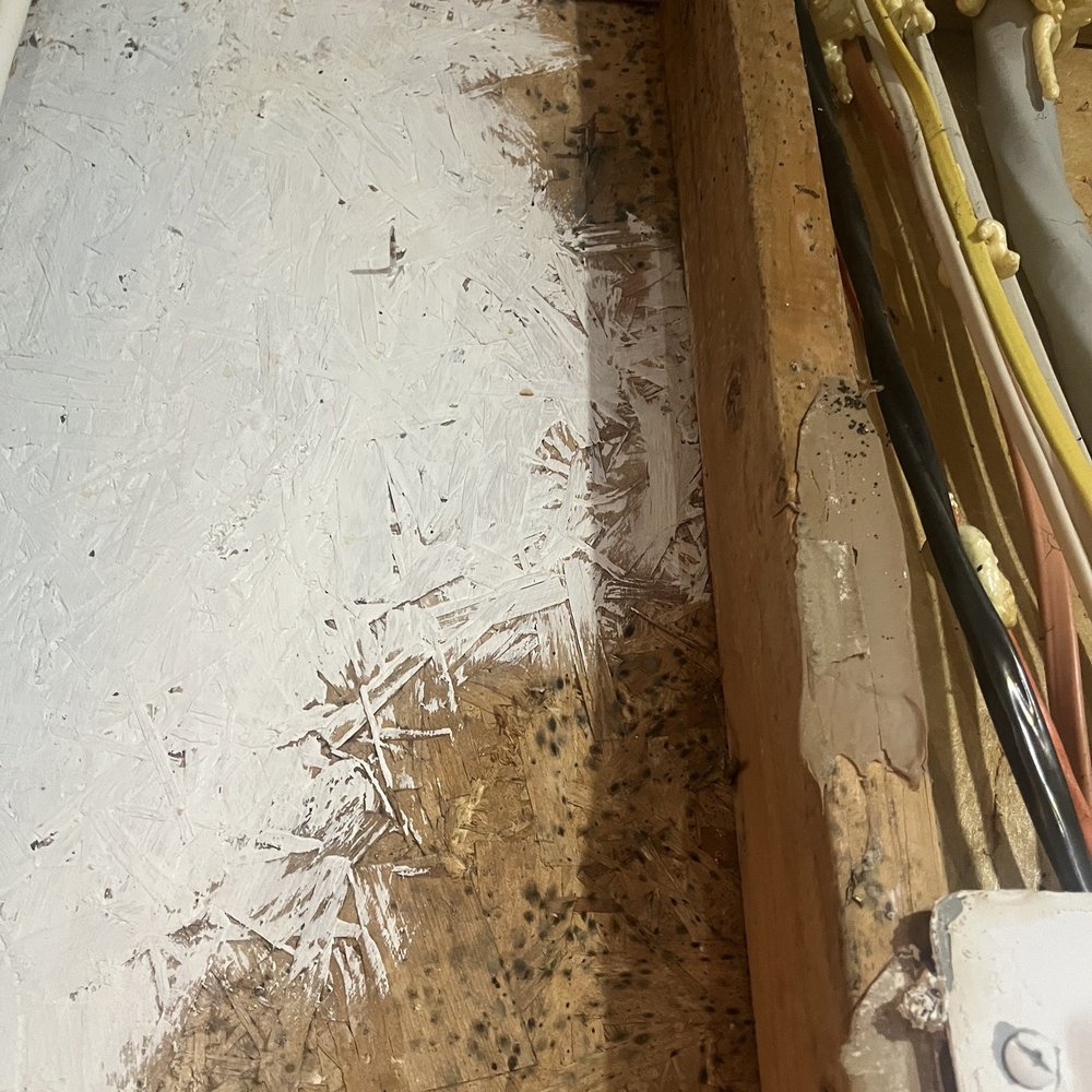 AMH - Negligence - Property Management Near Me - Norcross, Georgia