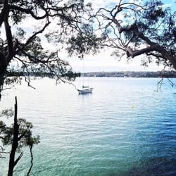 Clifton Gardens Reserve