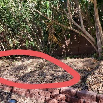 VanDorne Landscape and Design - Two Lantana gone - Landscaping Near Me