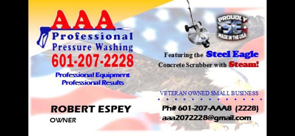 AAA Professional Pressure Washing - veterans service organization in Meridian, MS