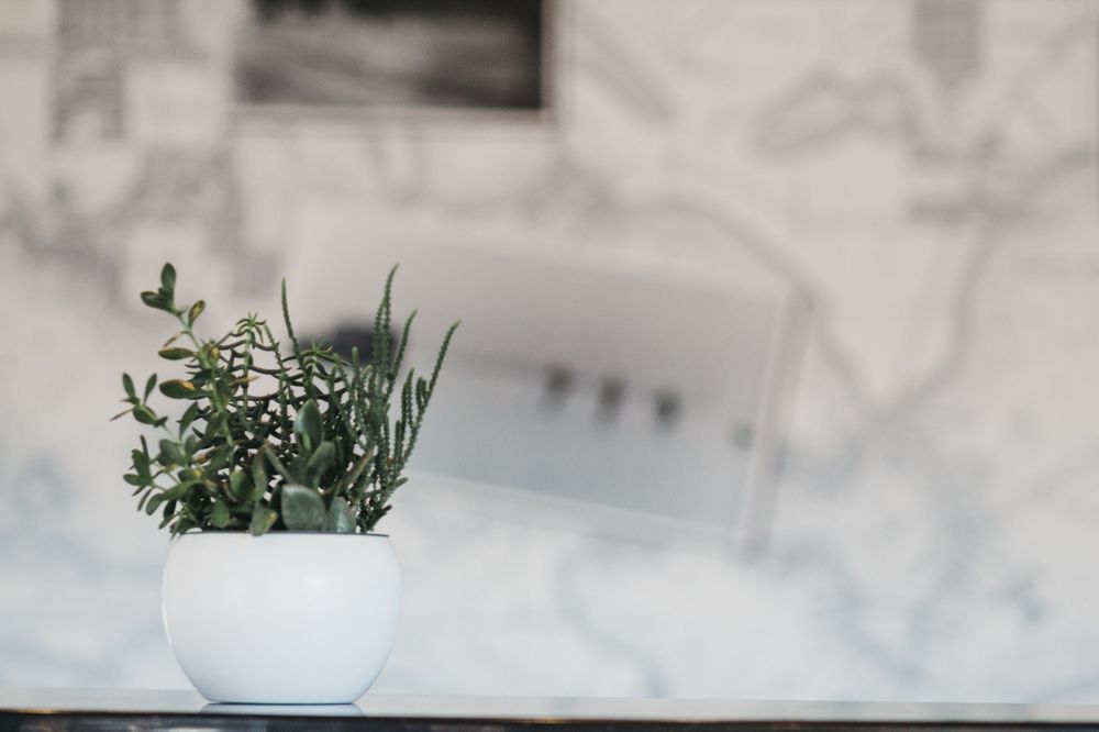 FLAGSHIP BANK WHITE BEAR TOWNSHIP Updated May 2024 10 Photos