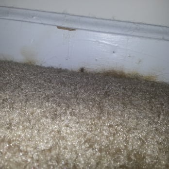 Pointe South Apartments - Mold along the wall under our indoor unit. - Apartments Near Me - Wilmington, North Carolina Pointe South Apartments - Mold along the wall under our indoor unit. - Apartments Near Me - Wilmington, North Carolina