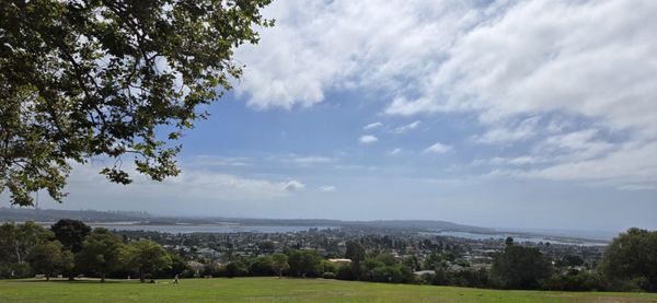 Kate Sessions Memorial Park by null