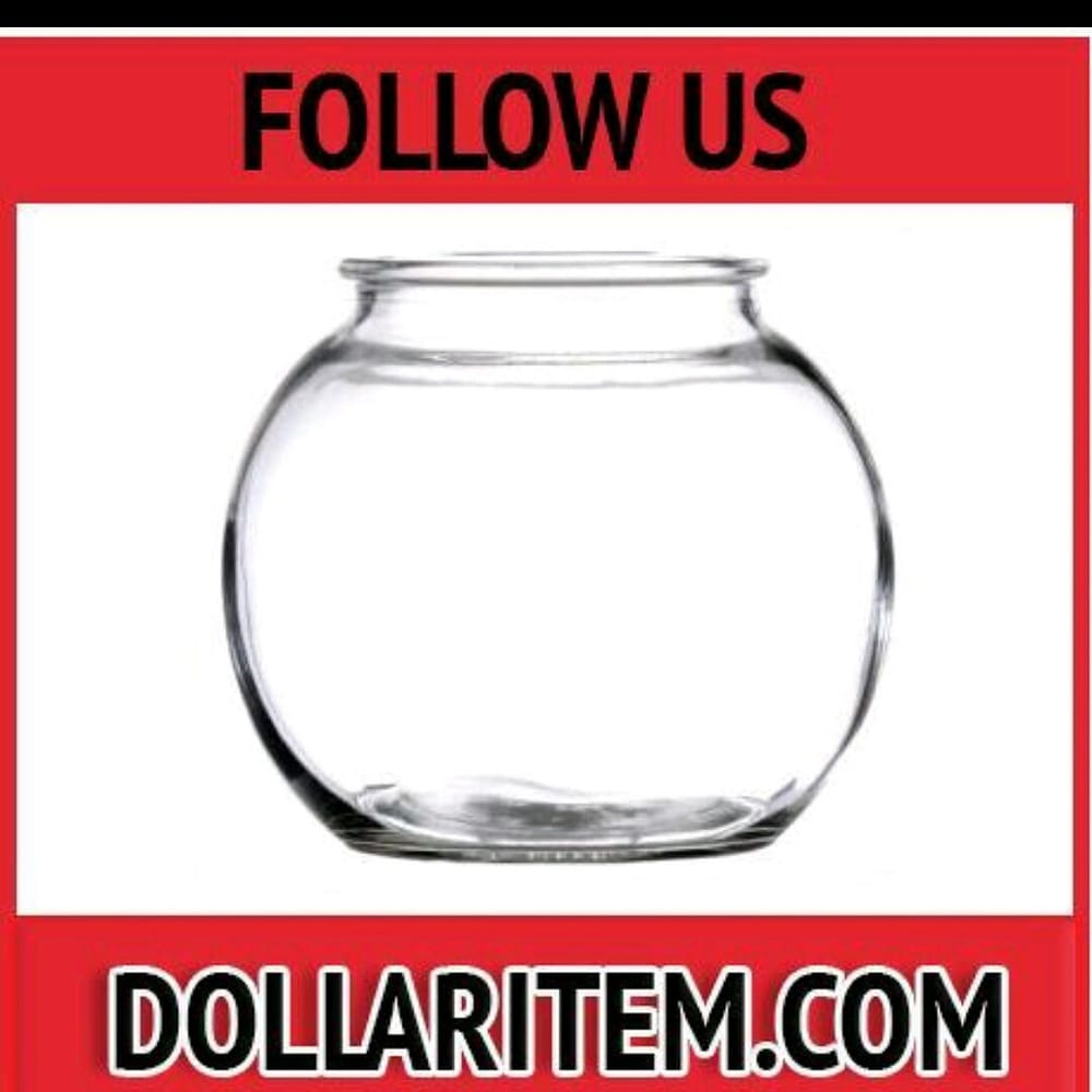 CONCORD IMPORT Updated October 2024 11 Photos 3151 Fruitland Ave