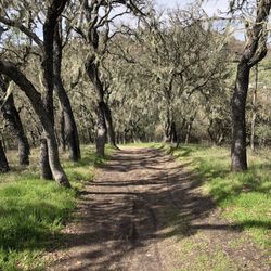 Jim Green Trail
