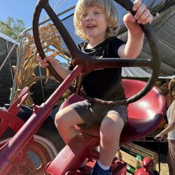 Gallagher's Pumpkins & Christmas Trees - Tractor for kids to take pictures on