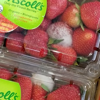 Greenbay Marketplace - I don't think people should been buying this on 30th Ave location... Expensive besides and not fresh at all... - Grocery Near Me - Astoria, New York Greenbay Marketplace - I don't think people should been buying this on 30th Ave location... Expensive besides and not fresh at all... - Grocery Near Me - Astoria, New York
