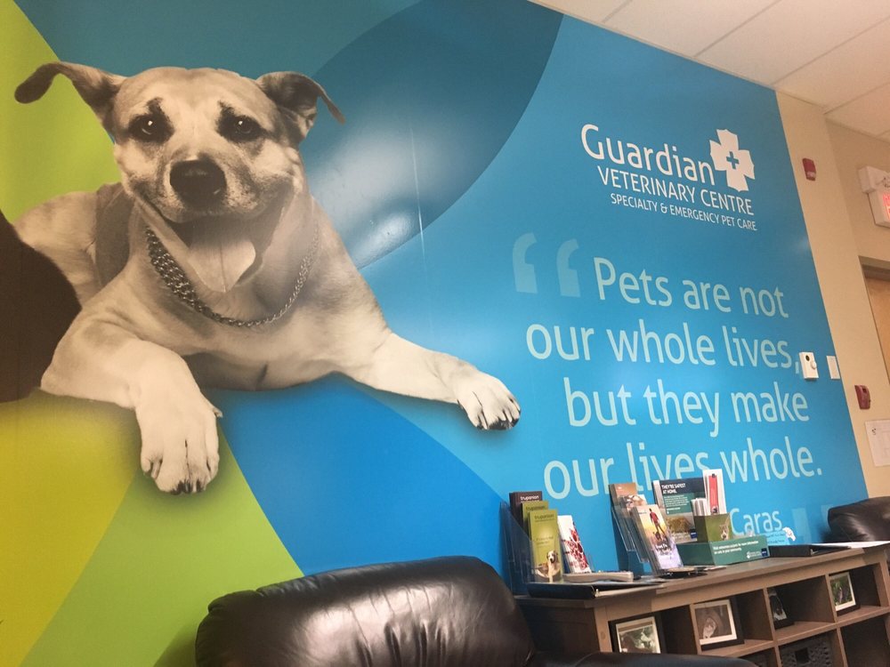 guardian vet clinic