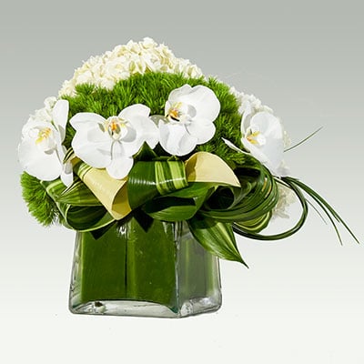 flower shops vaqutaux voyage ヴァクトー The Flower Bazaar, 920 5th St, Miami Beach, FL 33139, US