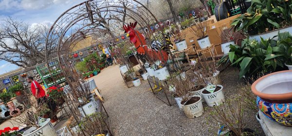 Green's Produce and Plants by null