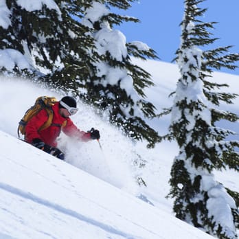 Truckee Mobile Chiropractic - Deep powder injuries. - Chiropractors Near Me - Truckee, California Truckee Mobile Chiropractic - Deep powder injuries. - Chiropractors Near Me - Truckee, California
