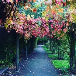 Enghaveparken