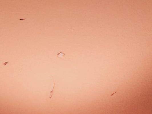 The Grafton Hotel by null