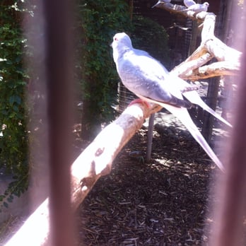 Applegate Park Zoo - Zoos Near Me - Merced, California Applegate Park Zoo - Zoos Near Me - Merced, California