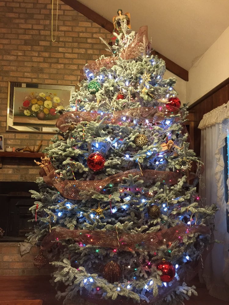 Lebanon christmas tree farm ohio