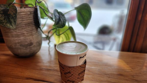 Sisters Coffee Company by null