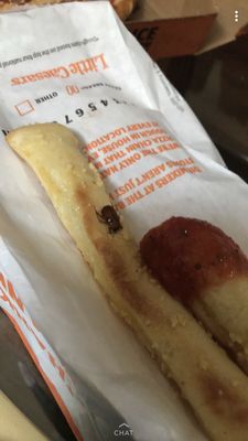 Little Caesars Pizza by null