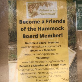 Hammock State Park - Hiking Near Me - Dunedin, Florida