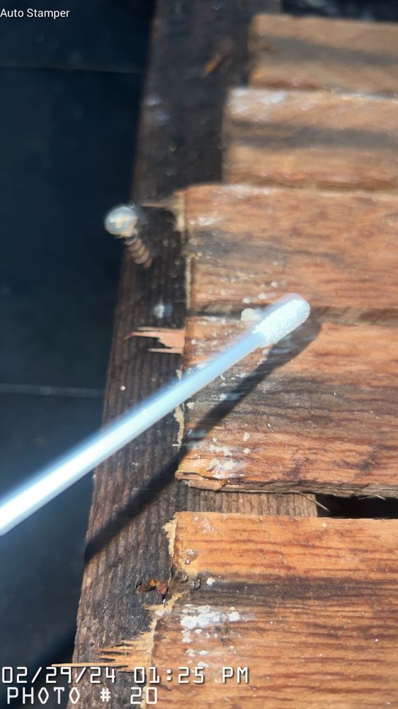 PristineAIRE - mold inspector in Calabasas, CA