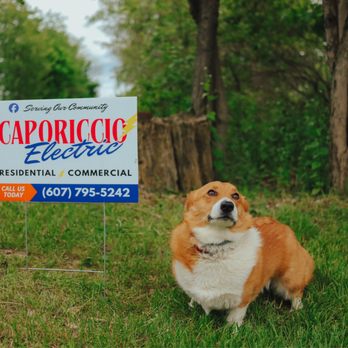 Caporiccio Electric - Electricians Near Me - Pine City, New York Caporiccio Electric - Electricians Near Me - Pine City, New York