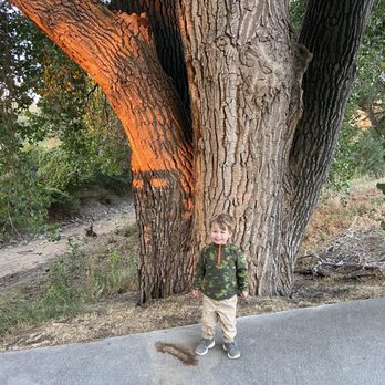 High Line Canal Trail - My walking partner - Hiking Near Me