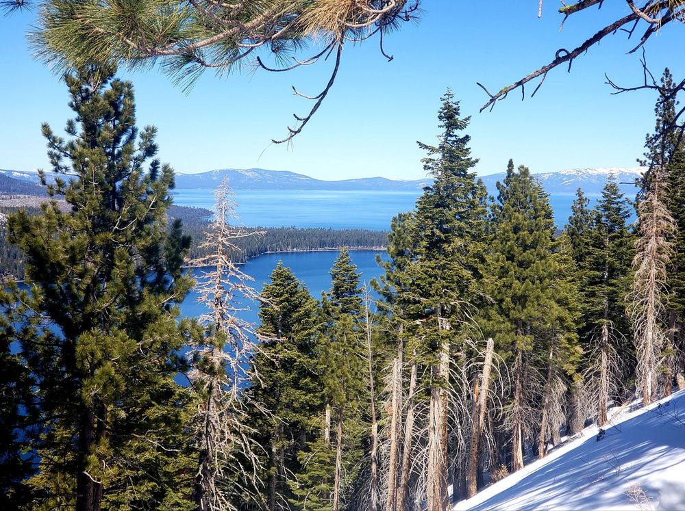 FALLEN LEAF LAKE 249 Photos & 91 Reviews Fallen Leaf Rd, South Lake Tahoe, CA Yelp