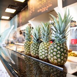 Gorda Bowls