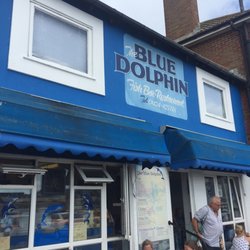 Blue Dolphin