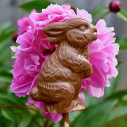 Ginger Elizabeth Chocolates - Chocolate Easter bunny