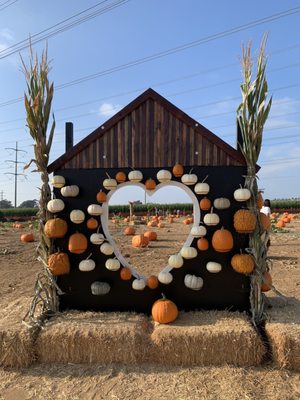 Carlsbad Strawberry Company by null