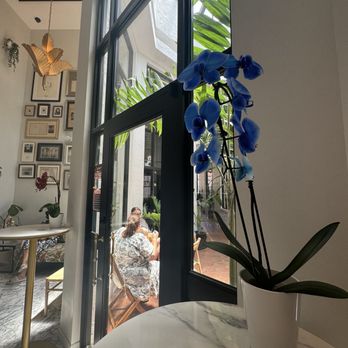 Via Roma Cafe - Cafes Near Me - Palm Beach, Florida Via Roma Cafe - Cafes Near Me - Palm Beach, Florida